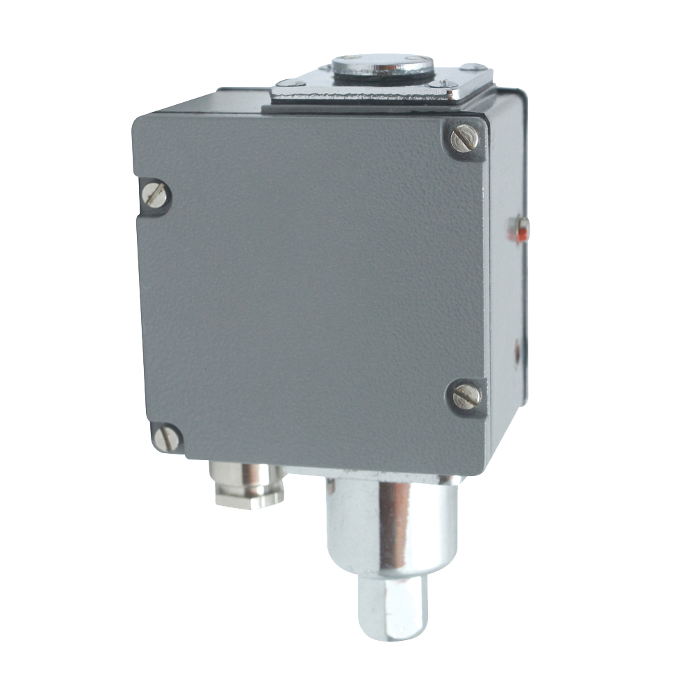 YWK-100型壓力開關(guān) YWK-100型壓力開關(guān)